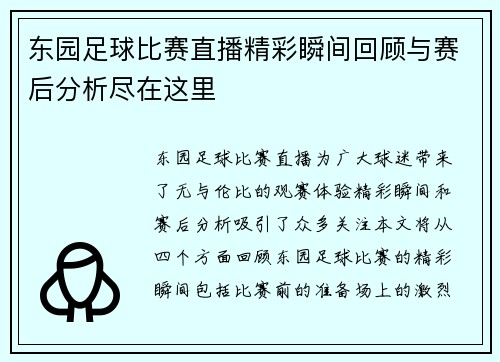 东园足球比赛直播精彩瞬间回顾与赛后分析尽在这里